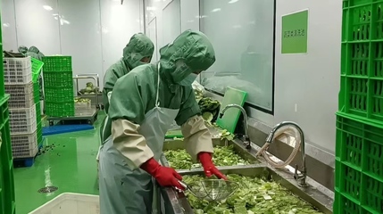 鄉村振興看聊城|預制菜構建新型餐飲供應鏈